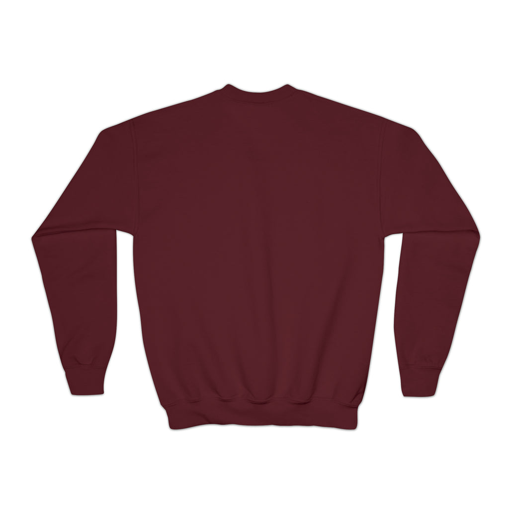 Skiing turtle youth Crewneck Sweatshirt