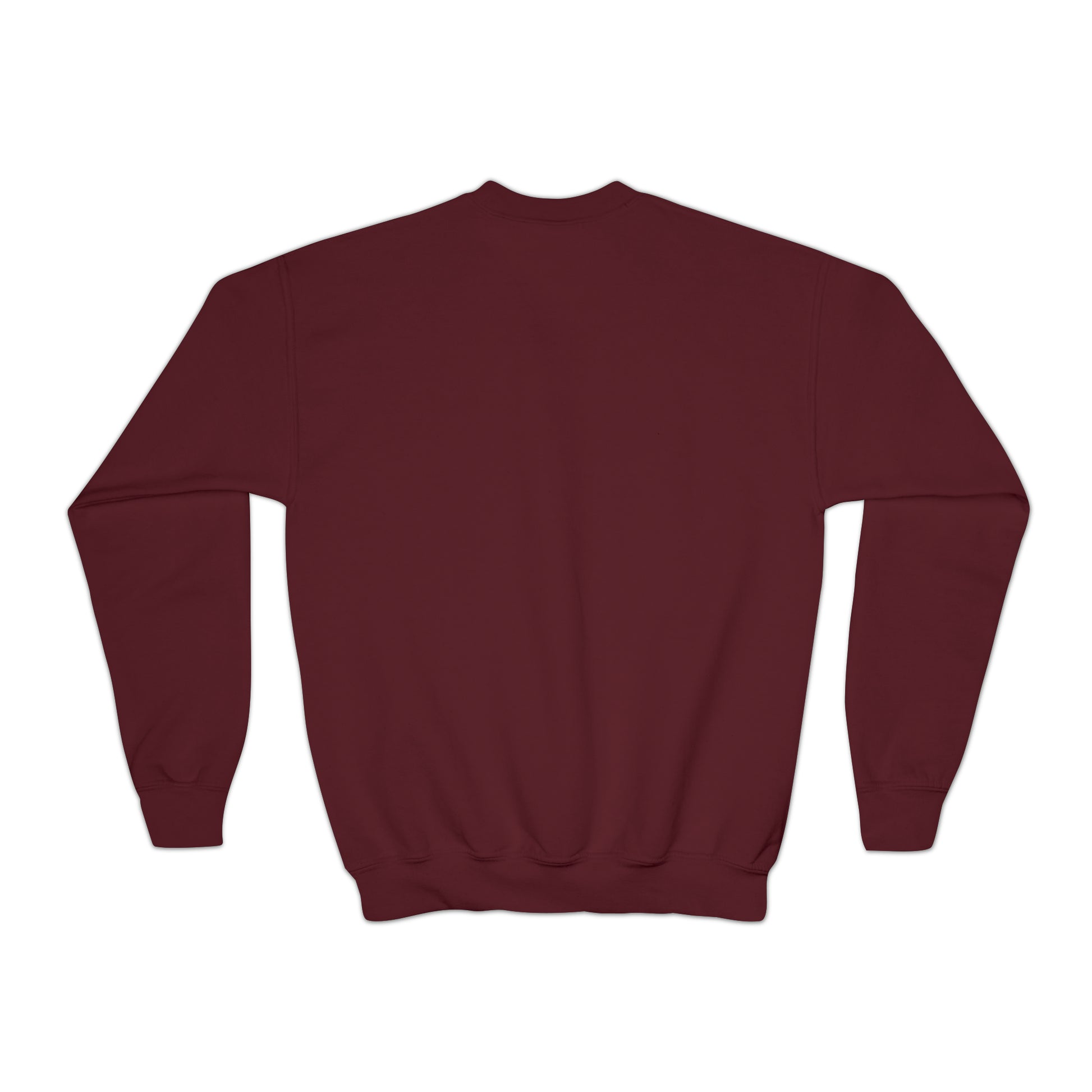 Skiing turtle youth Crewneck Sweatshirt