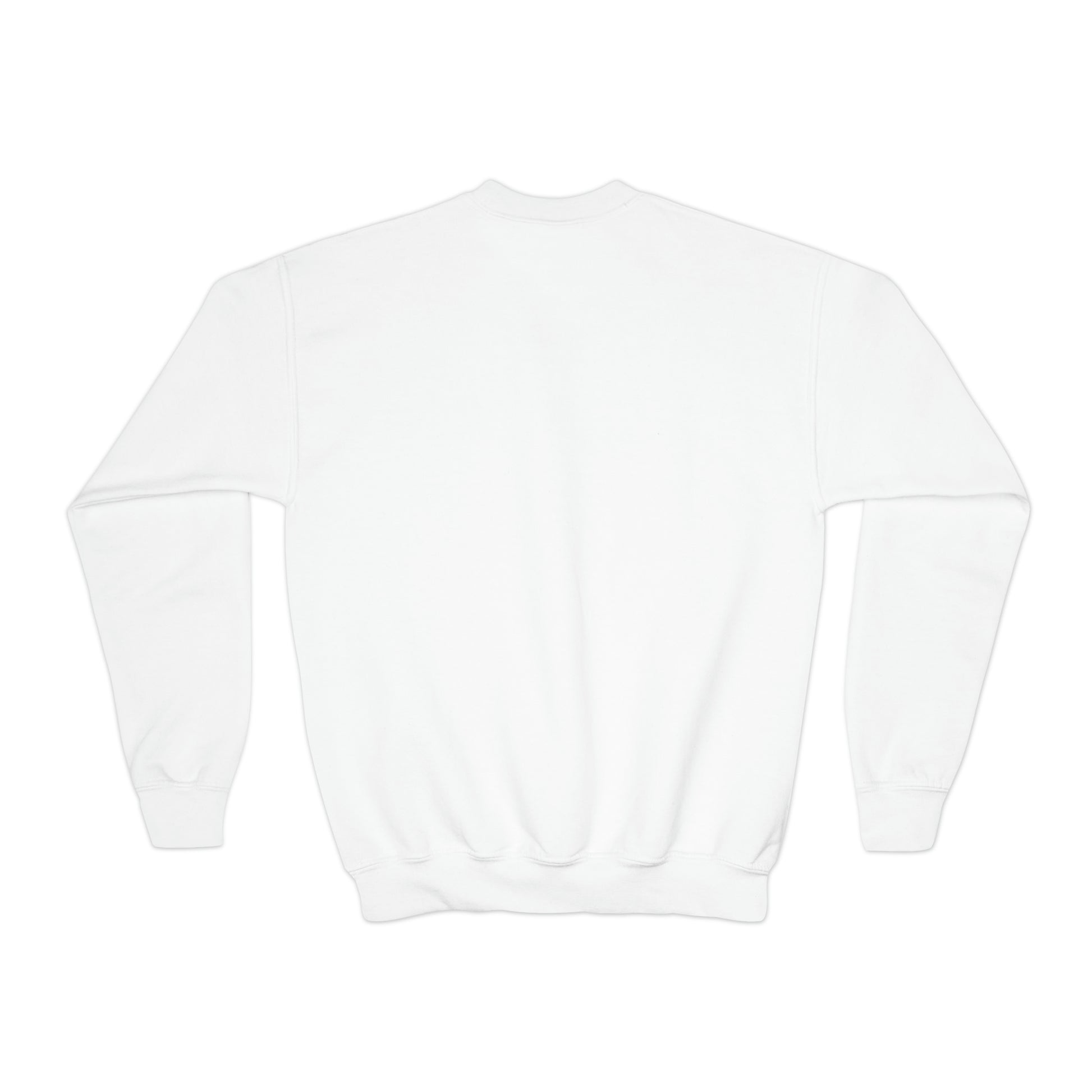 Skiing turtle youth Crewneck Sweatshirt