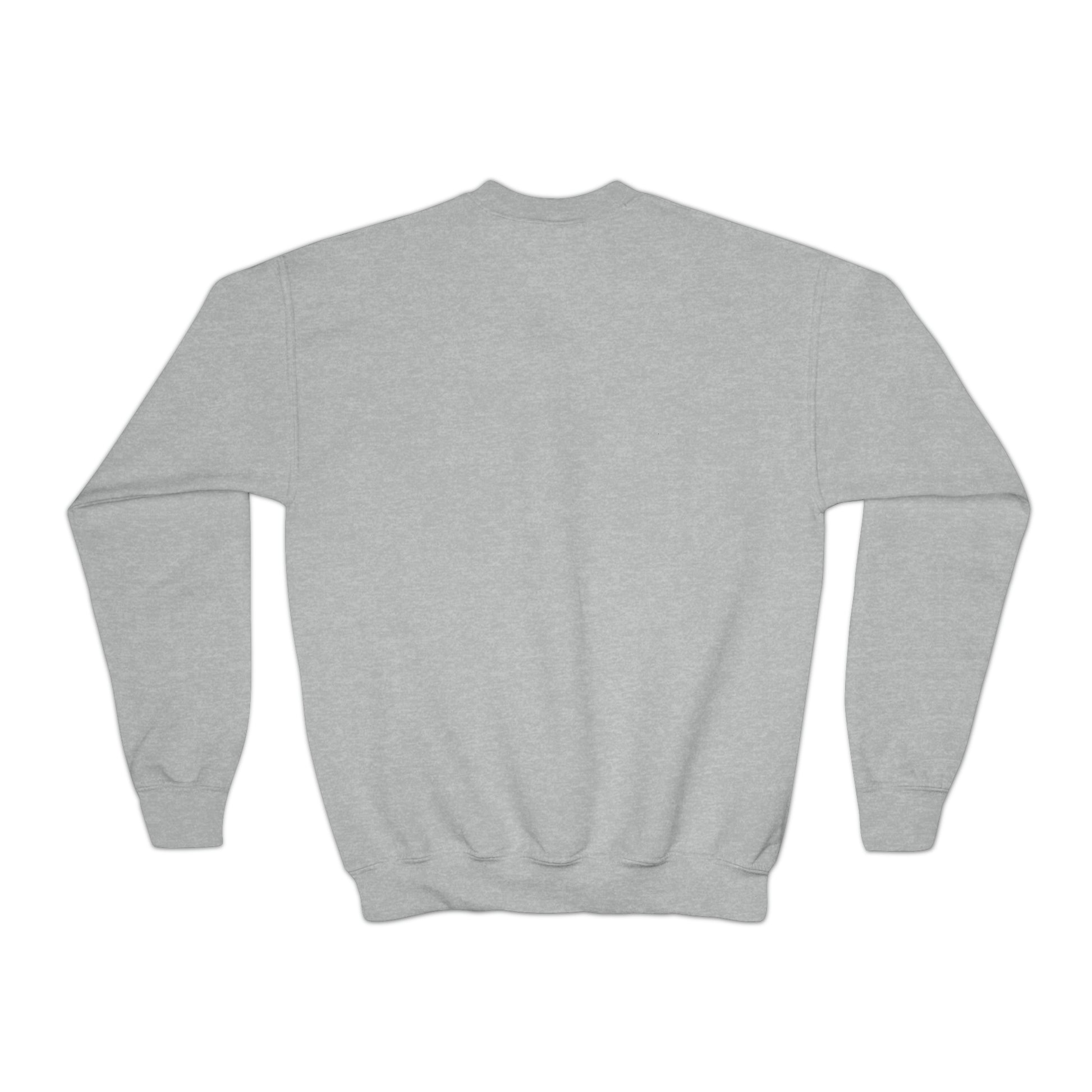 Skiing turtle youth Crewneck Sweatshirt